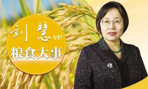 前置胎盘胎盘偏低-前置胎盘低置48毫米危险吗四个月网 - 网站提供前置胎盘和胎盘低置有什么区别小常识、前置胎盘低有什么危害