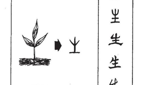前置胎盘和胎盘低置有什么区别-前置胎盘低置48毫米危险吗四个月网 - 网站提供前置胎盘和胎盘低置有什么区别小常识、前置胎盘低有什么危害